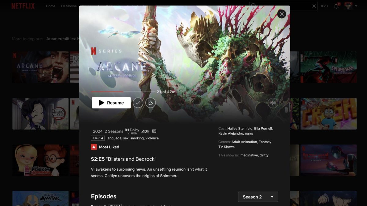 Screenshot of Netflix's 